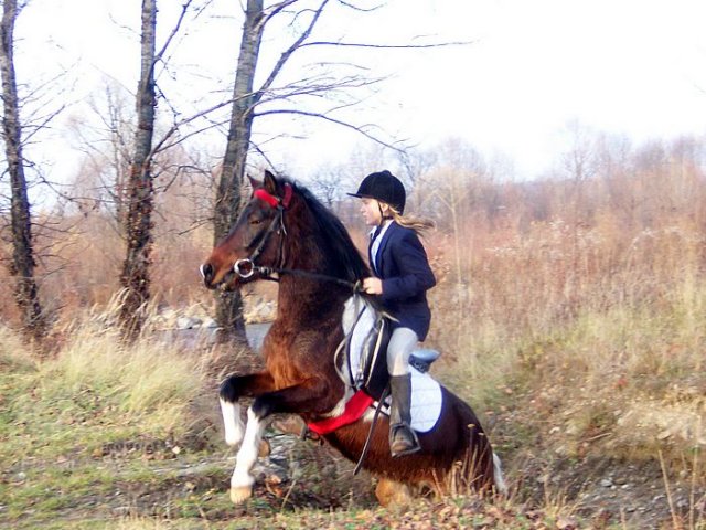 Hubertus 2006